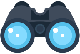 Binocular image